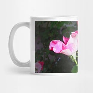 RV Garden Study 5 Mug